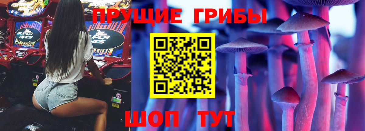 Псилоцибиновые грибы ЛСД  Вход с VPN  цена   Зерноград 